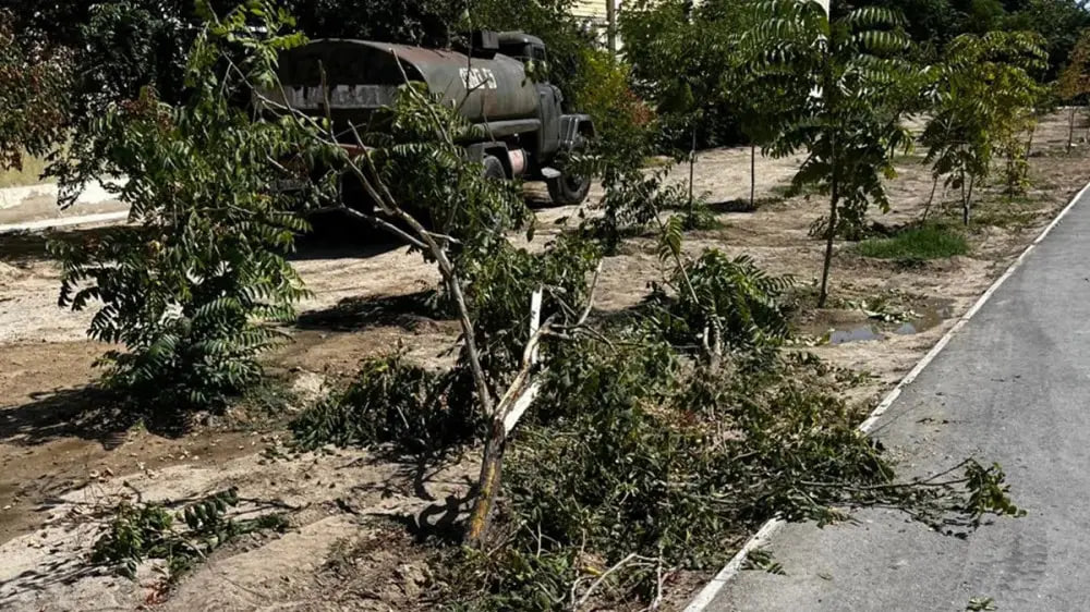 В Актау водовоз снес деревья и врезался в дом