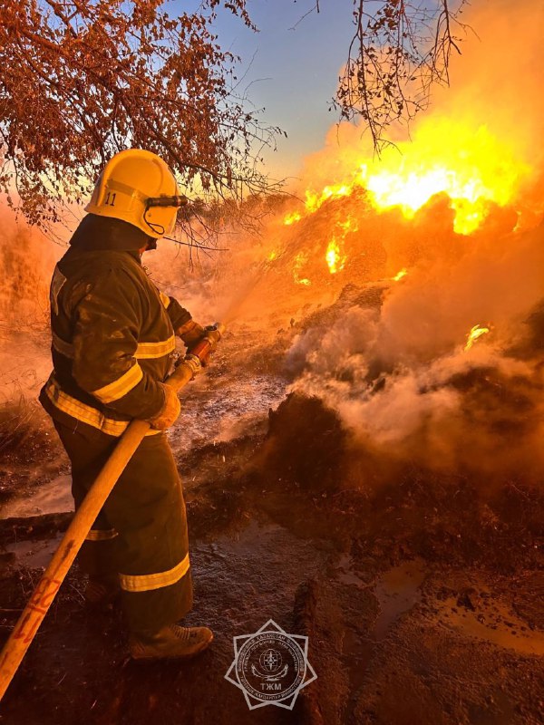 Сено горело в Жамбылской области