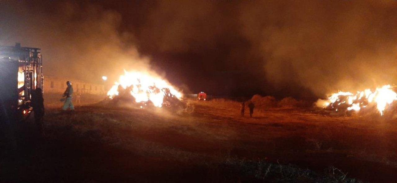 Пожароопасный период еще не закончился - в МЧС рассказали, как не остаться без сена на зиму