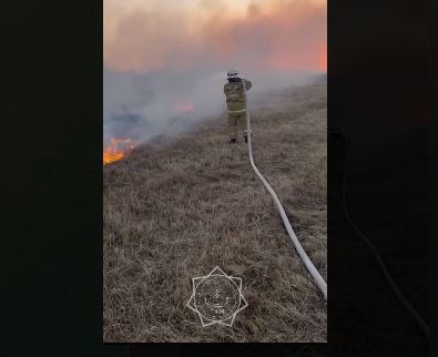 В Атырауской области горел камыш