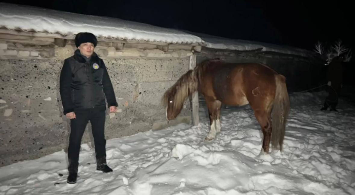 В ВКО пастуха подозревают в скотокрадстве на пять млн тенге 