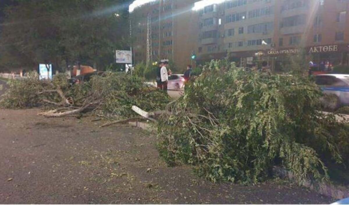 В Актобе водитель на большой скорости снес несколько деревьев