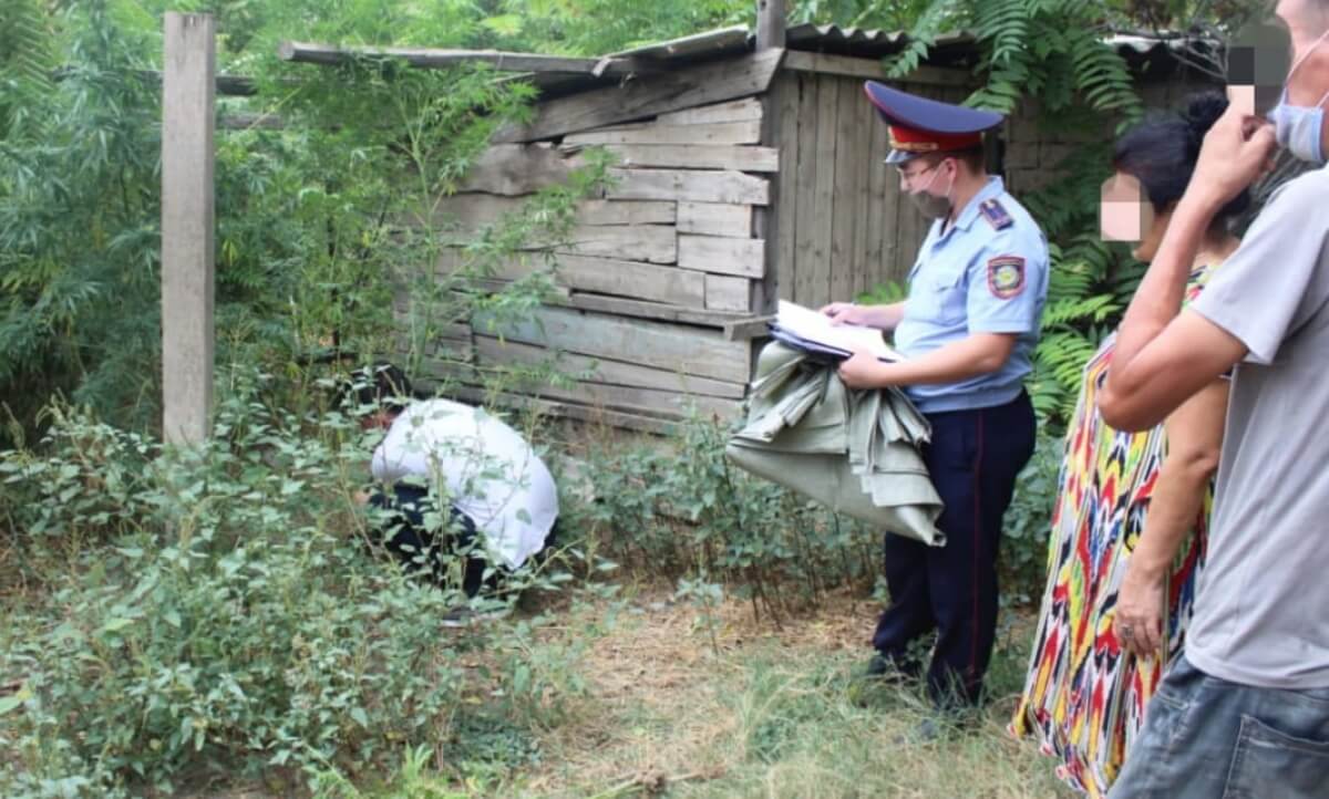 Очередной посев наркотиков ликвидирован в Туркестанской области