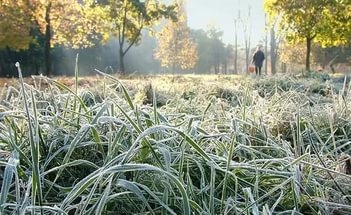 В четырех областях РК ухудшится погода