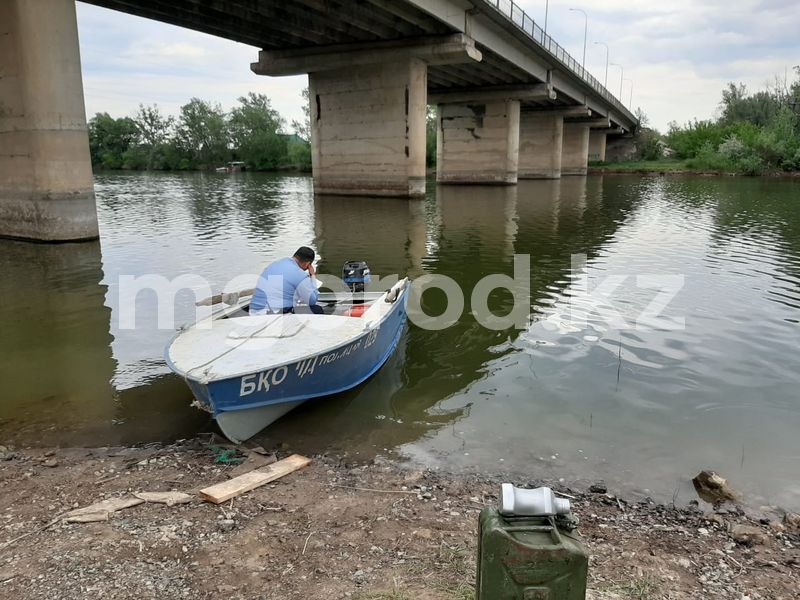 Сына депутата, оторвавшего голову и руку женщине, выпустили под подписку