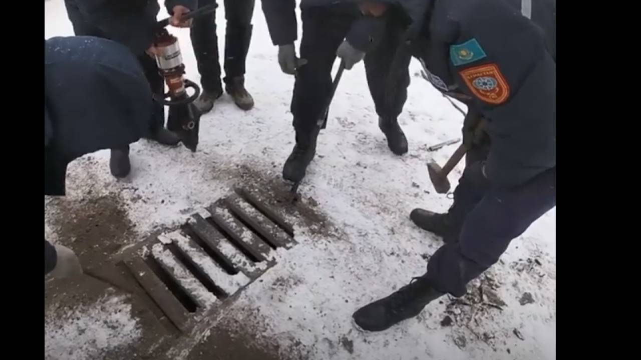 Спасатели вызволили щенков из водостока в Кокшетау