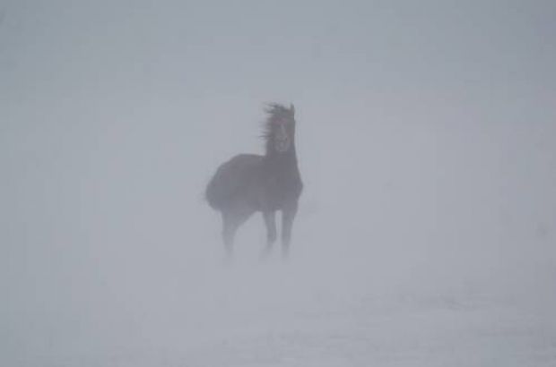 В Атырауской области трое жителей пропали во время урагана