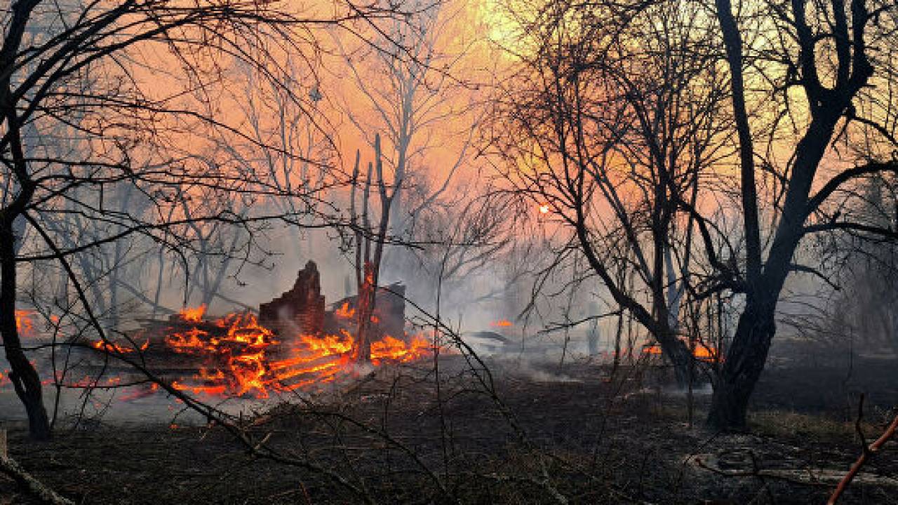 В Чернобыльской зоне произошли опасные изменения