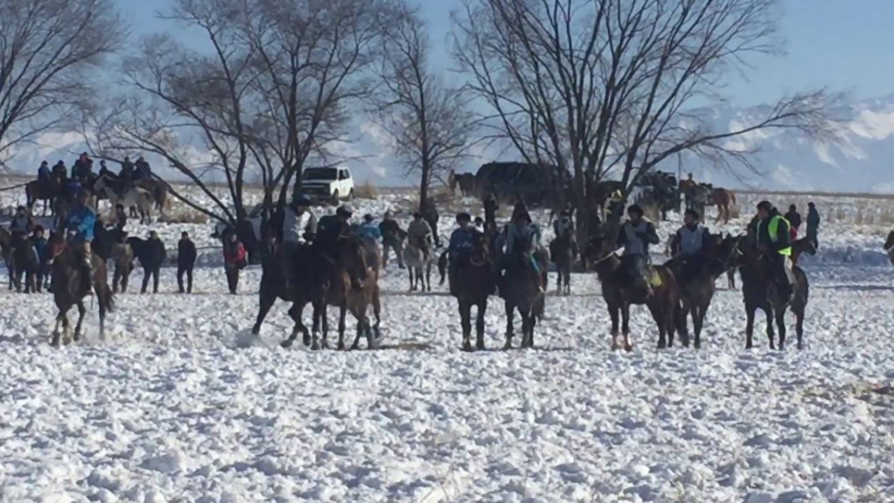 Неизвестные устроили стрельбу во время кокпара в Туркестанской области