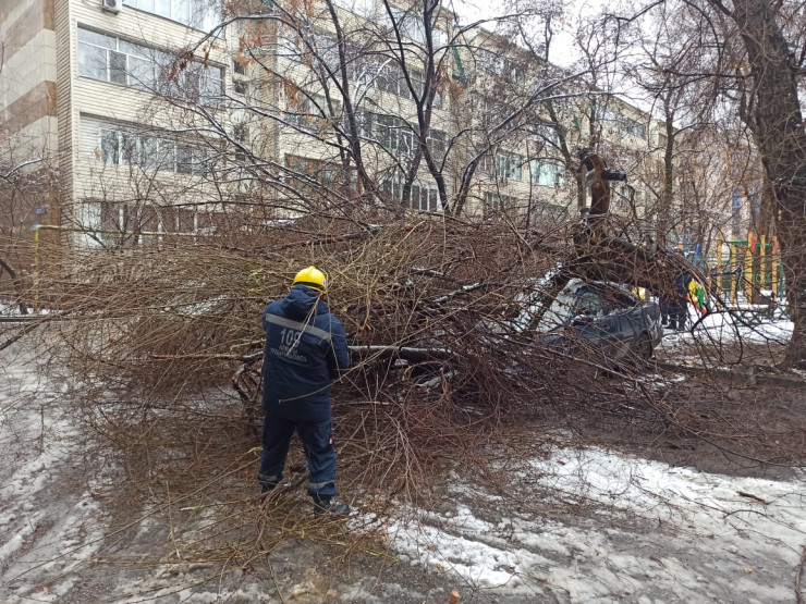 Деревья упали на автомобили из-за обильного снегопада в Алматы 