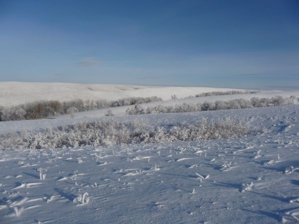 В ЗКО в степи пропал пастух с маленьким ребенком