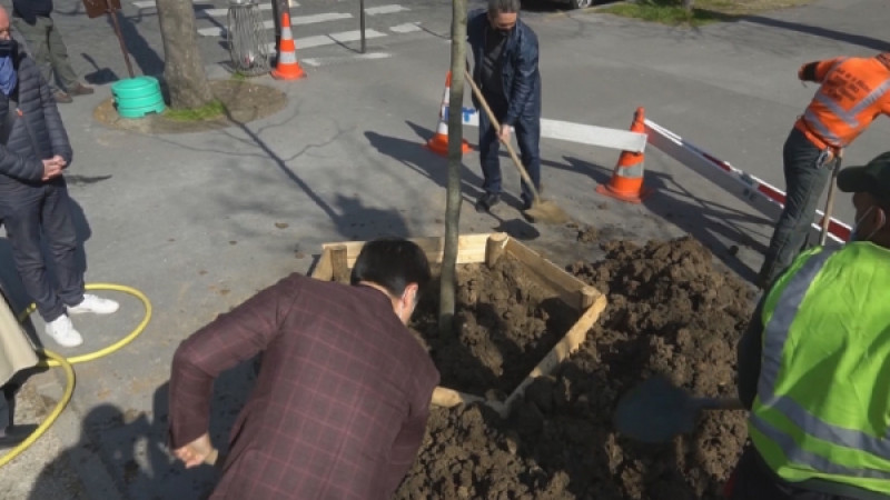 Новая достопримечательность появилась в Париже в честь Наурыза