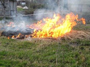 55 дачных участков сгорело в Экибастузе