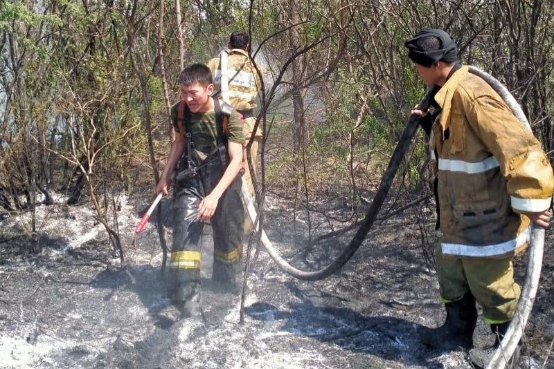 C помощью пожарного поезда потушили возгорание, угрожавший селу, акмолинские спасатели