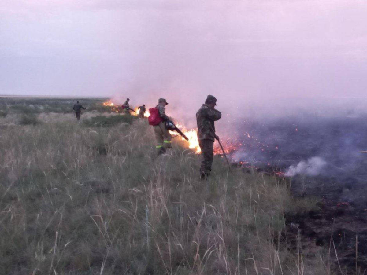 В ВКО всю ночь тушили обширное возгорание травы