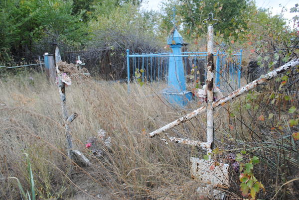 Стихийные городские погосты: что там происходит