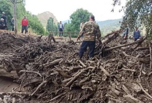 В Кыргызстане из-за схода селя погибла целая семья