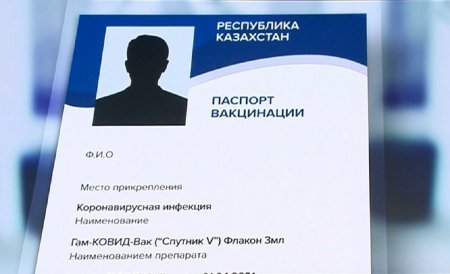 Сколько было уголовных дел по подделке паспортов вакцинации и ПЦР-тестов с начала года