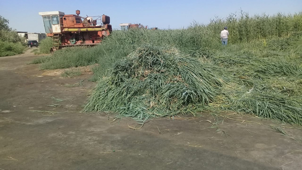 На волне народного возмещения