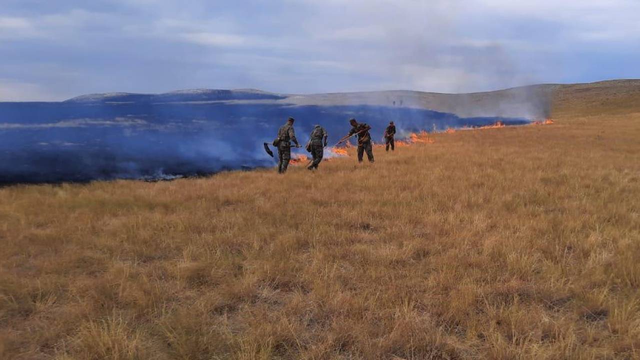 В Карагандинской области тушат крупный природный пожар