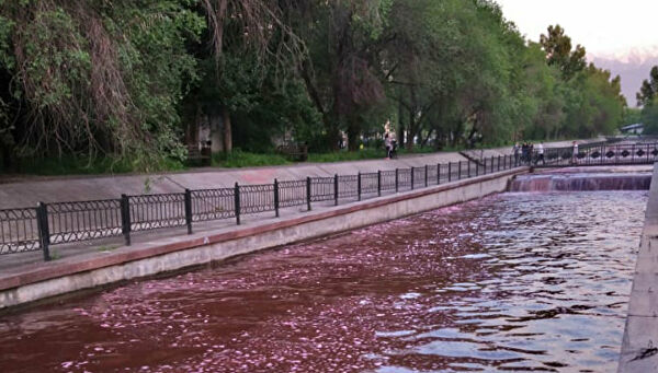 Полиция ищет людей, окрасивших Большую Алматинку в красный цвет 