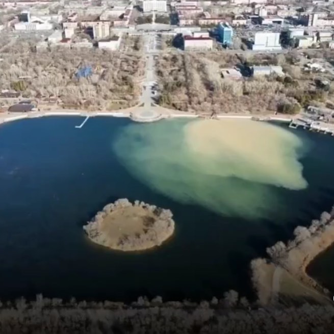 Чиновники объяснили, что именно сливают в пруд в Центральном парке Караганды