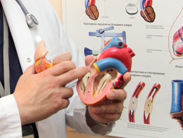 Отчего барахлит сердечный мотор: откровения кардиолога
