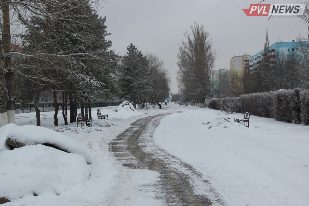 Вандалов, сломавших ель в центре города, ищут в Павлодаре