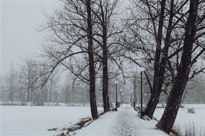 Метель и гололед ожидаются в ближайшие дни