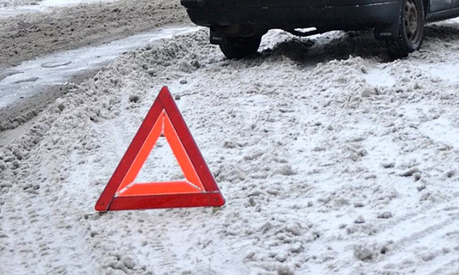 В Костанае в ДТП погибла женщина с собакой