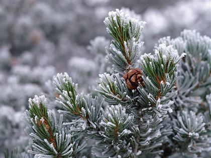 Какая погода ожидает казахстанцев 4 февраля