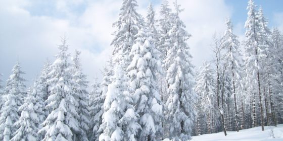 В семи регионах Казахстана объявлено штормовое предупреждение