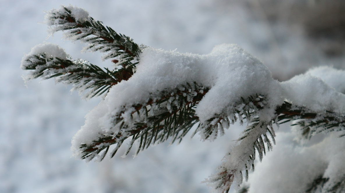 14 февраля во многих регионах РК пройдет снег