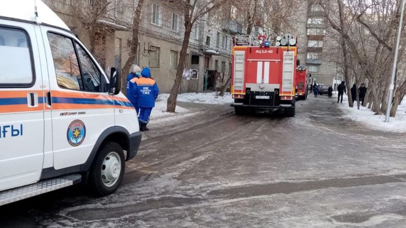 В Павлодаре пожарные спасли мужчину и его питомца