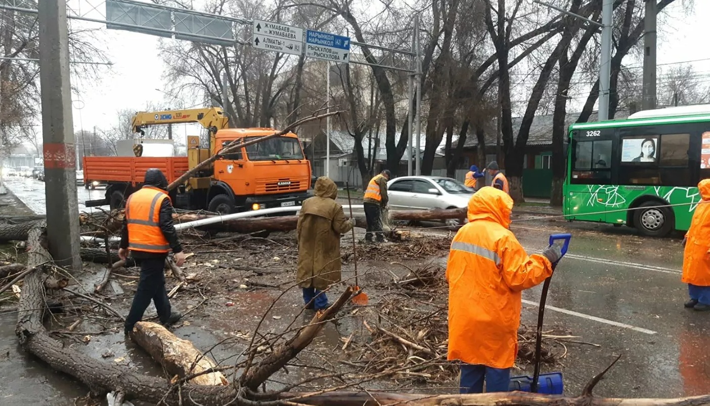 В Алматы в результате урагана пострадали двое мужчин