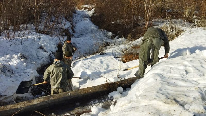 Во время паводков в Казахстане погибло более 100 животных 