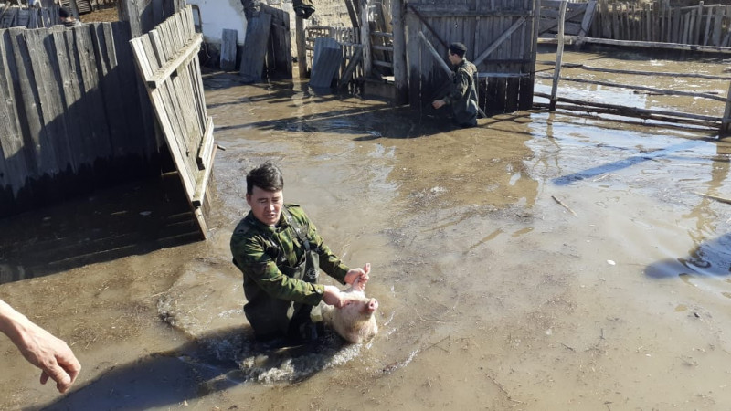 Жителей одного из сёл в ВКО эвакуировали из-за подъема уровня воды