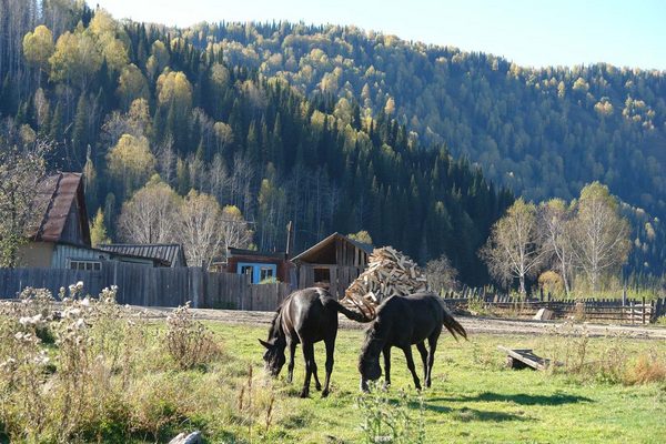 Какое применение нашли жители казахстанского села падающим в их огороды обломкам ракет