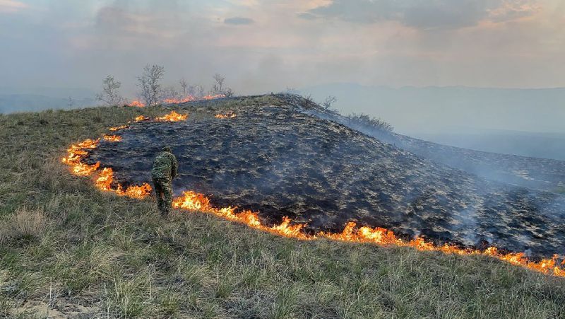 В Восточно-Казахстанской области в природных парках разгорелось два крупных пожара