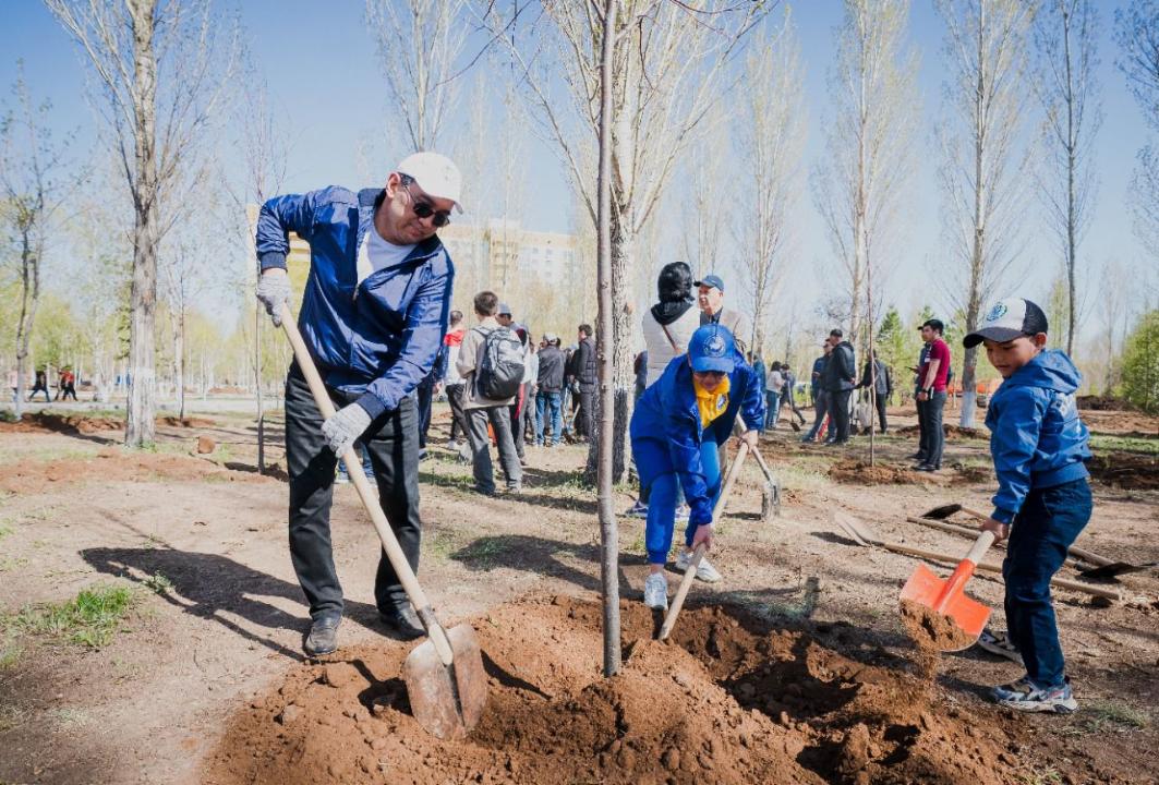 В столице приживается порядка 90% высаживаемых деревьев