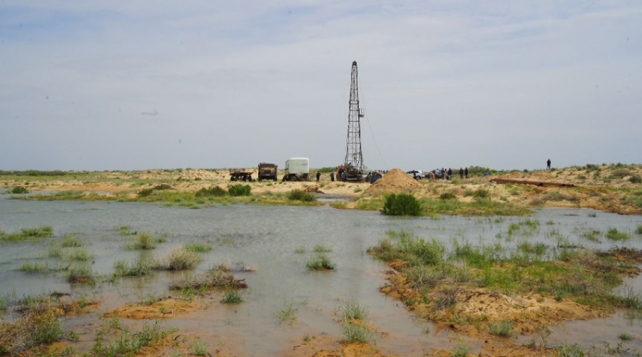 В Кызылординской области впервые за много лет водоемы наполнились водой 