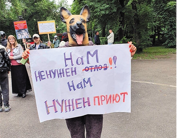 “Собака не придет в полицию, не напишет заявление”