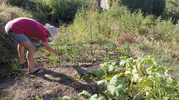 Напуганные грядущим продовольственным кризисом, взлетевшими ценами на продукты, алматинцы массово ринулись на дачи