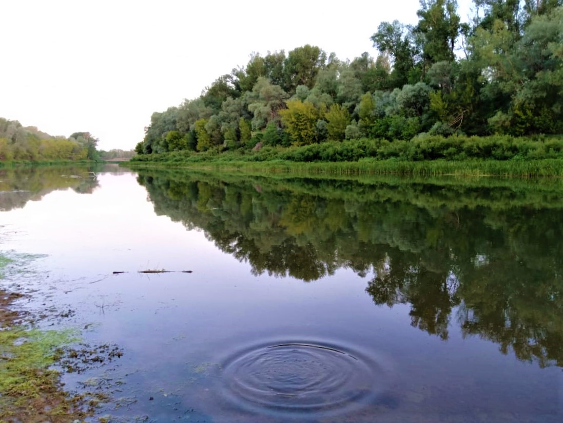 На реке Урал утонули двое братьев