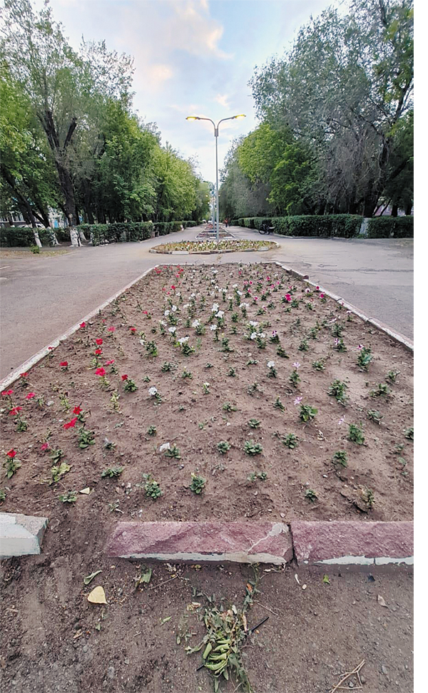 Почему жители Караганды сетуют на разруху в городе и ратуют за выборность акимов всех уровней