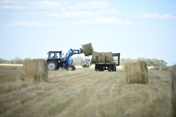 Делом должны заниматься профессионалы