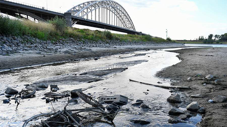 Фермерам в Нидерландах запретят использовать речную воду из-за засухи