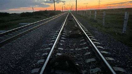 Дети спрыгнули с поезда на ходу в Жамбылской области