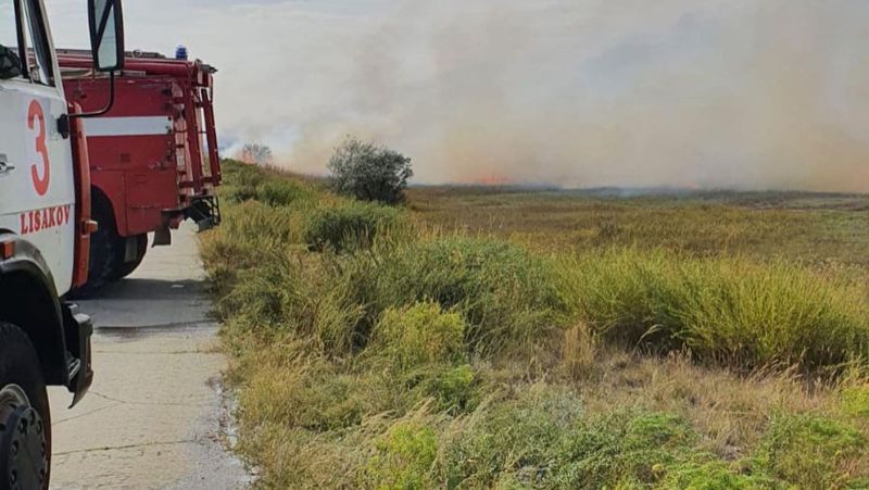 В Костанайской области ограничено движение на дорогах из-за пожаров