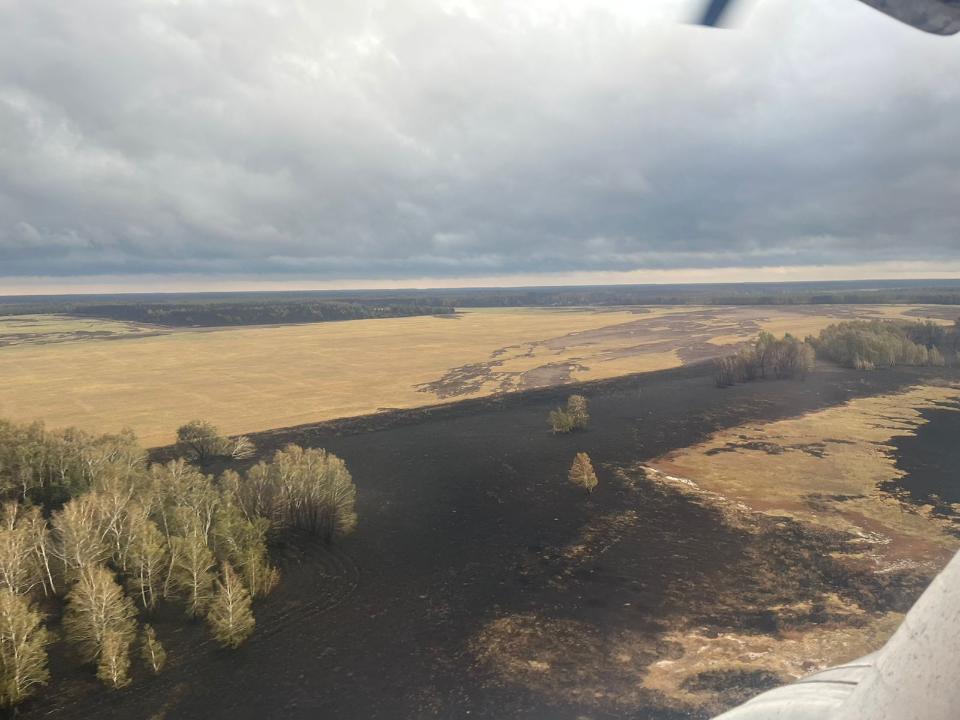 В Костанайской области прошёл дождь, влажность увеличилась 